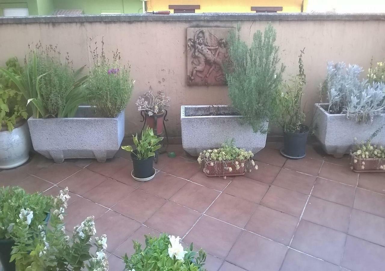 Pension Las Matillas ميراندا دي إيبرو المظهر الخارجي الصورة